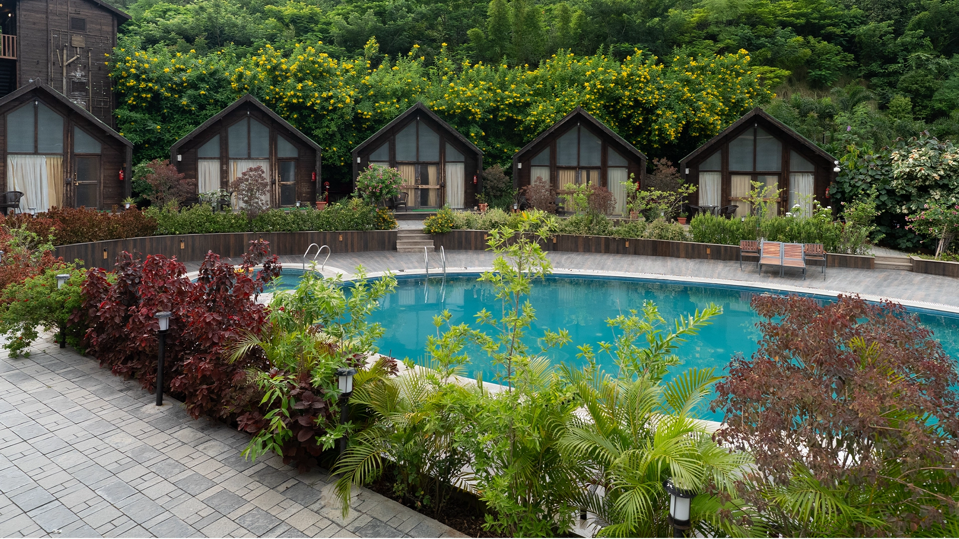 THE POOL